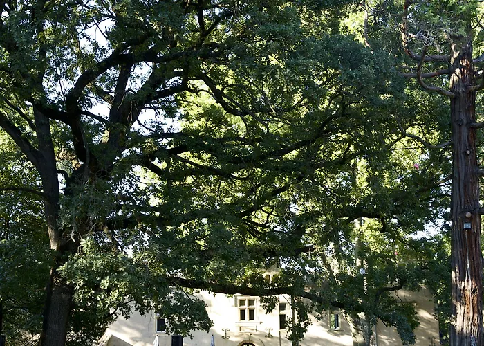 Domaine Du Val De Ceze Hotel Bagnols-sur-Ceze